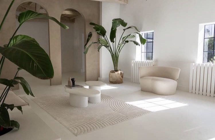 Lounge van Studio Noord met bank en plant